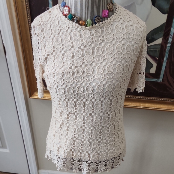 Elegant Lauren Michelle Cream Lace Top - Picture 1 of 4